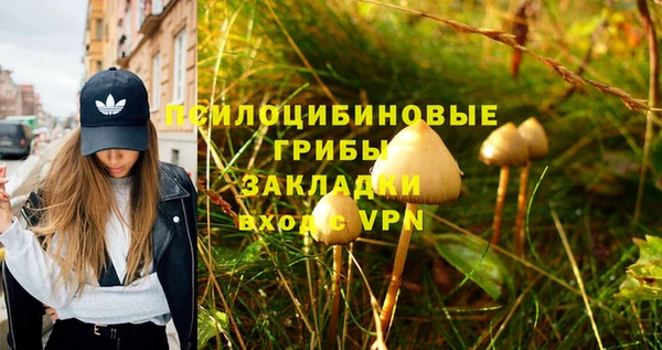 спиды Лабытнанги