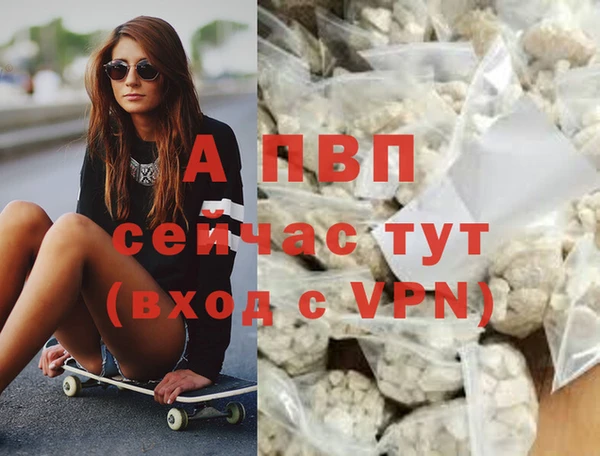 твердый Кукмор