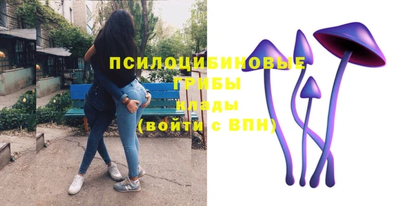 наркотики Ладушкин