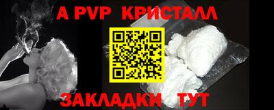 гашик Кингисепп