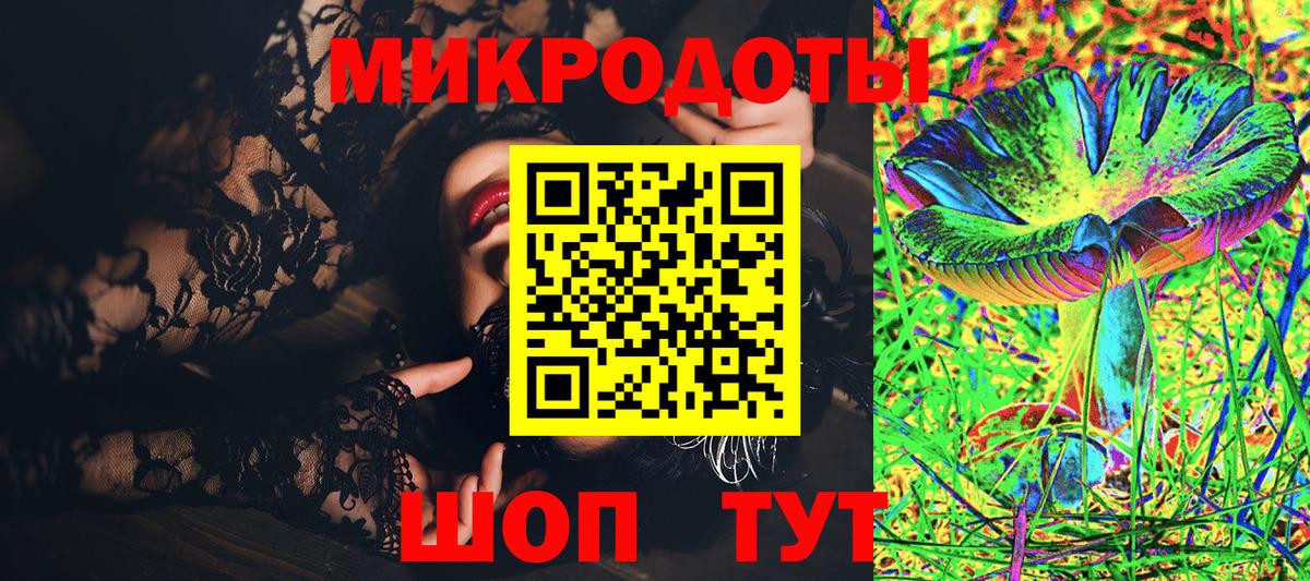 Псилоцибиновые грибы ЛСД  где найти наркотики  Черняховск  Псилоцибиновые грибы Psilocybe 
