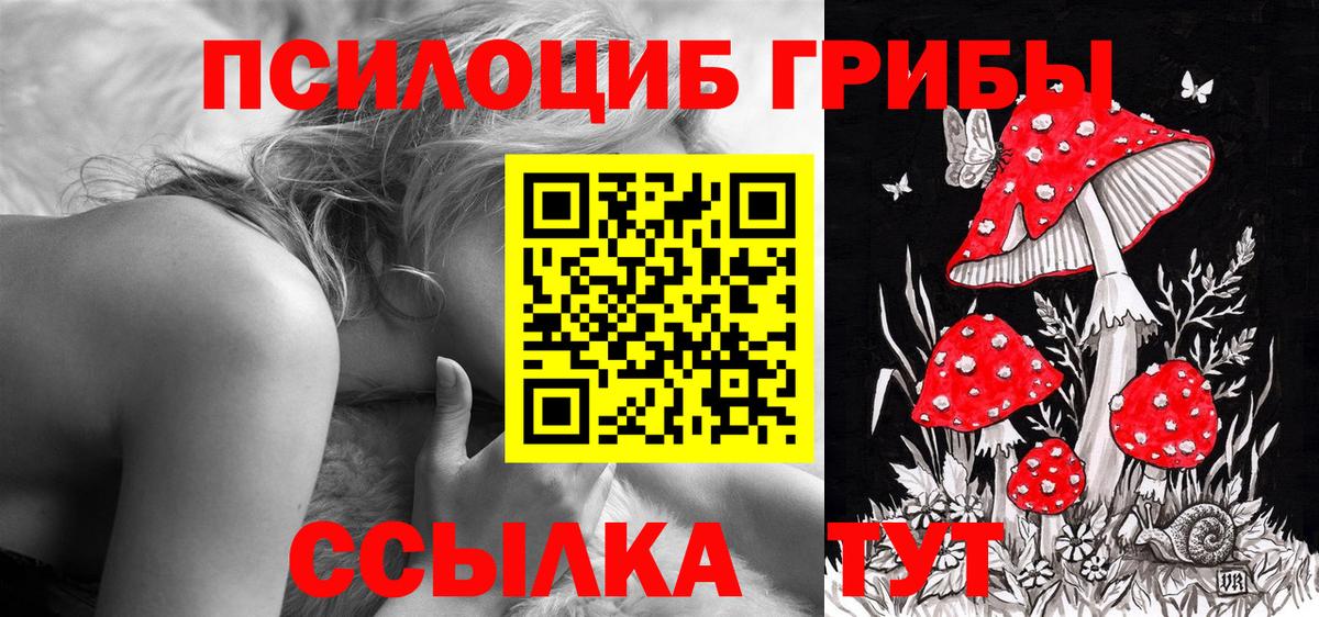 Галлюциногенные грибы MAGIC MUSHROOMS  цена наркотик  Вход с VPN  Черняховск  Псилоцибиновые грибы прущие грибы 