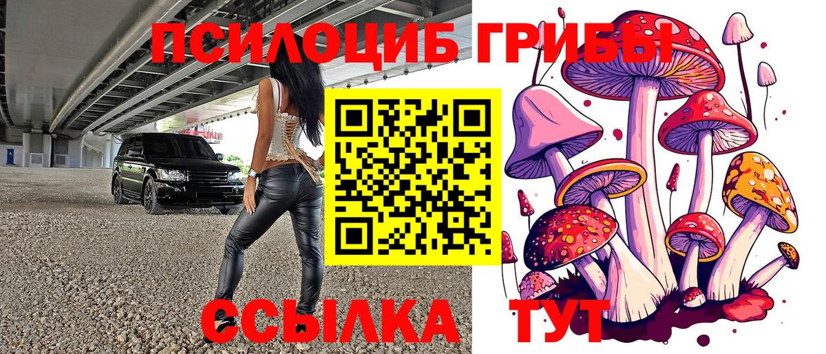 Метадон  Alpha-PVP СОЛЬ   Черняховск  Гашиш  Мефедрон   Codein  ЭКСТАЗИ  Лсд 25  КОКАИН  МАРИХУАНА  МЕФ  