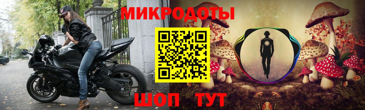 Псилоцибиновые грибы Psilocybine cubensis Черняховск